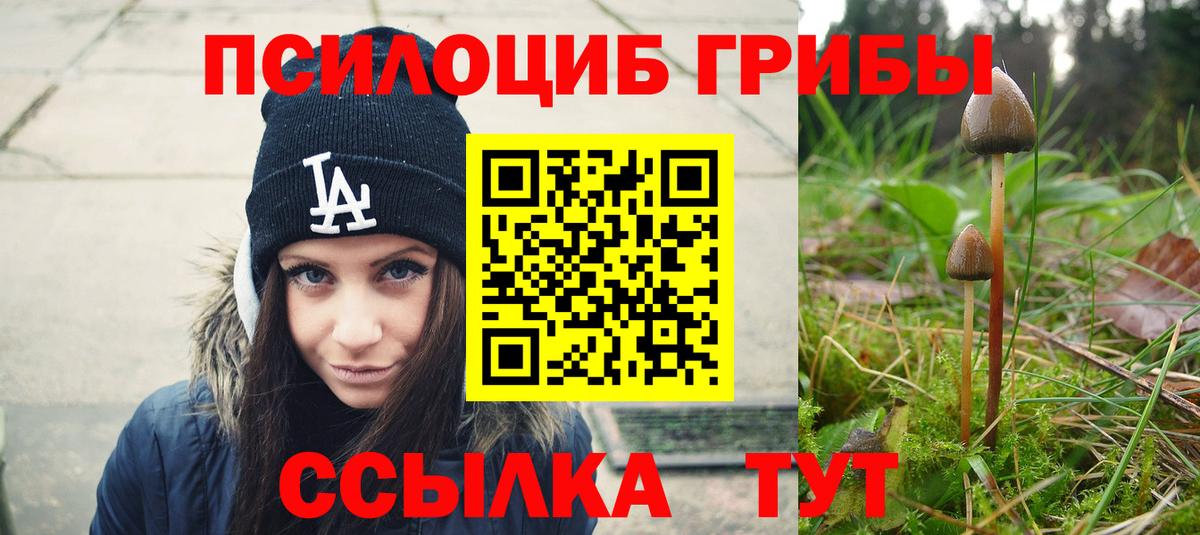 Галлюциногенные грибы мухоморы  Вход с VPN  Моршанск  наркошоп  Галлюциногенные грибы Cubensis 